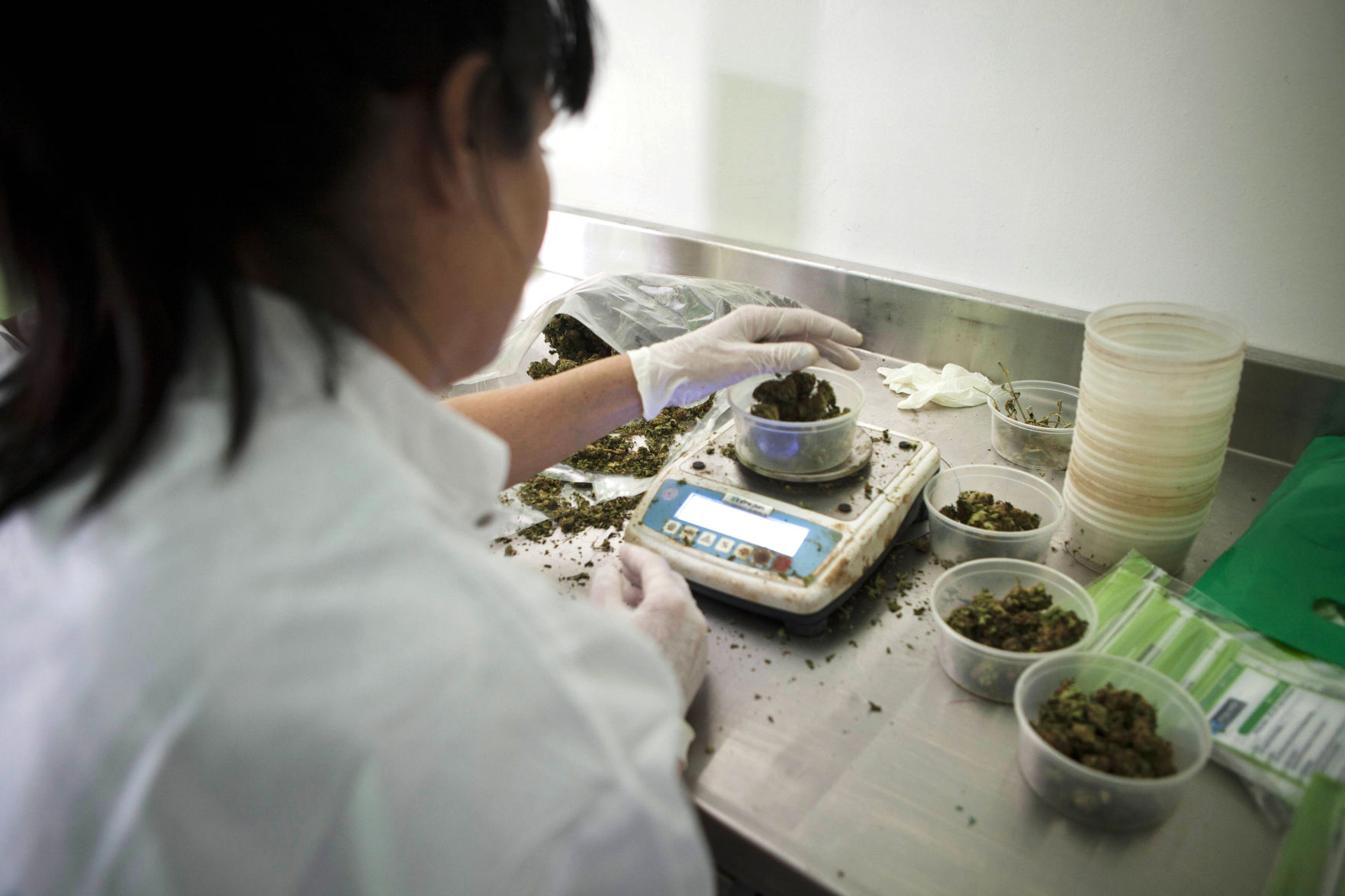 Israel Medical Marijuana